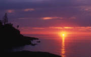 gooseberrysunrise.jpg